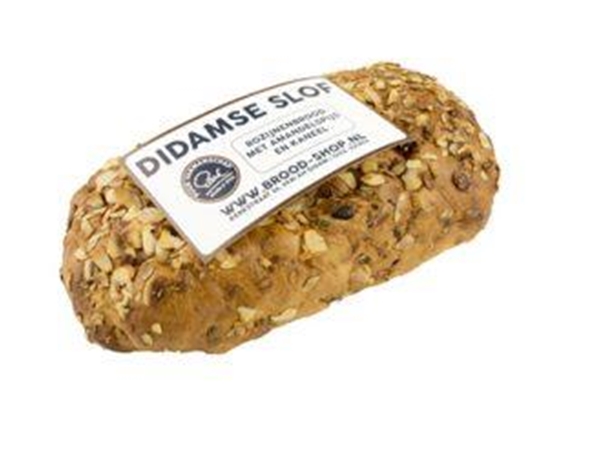 Didamse Slof
